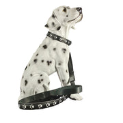 LED Dog Collar – 7-Color Luminous Paw Print