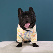 Dog Velvet Sweater – Spring & Autumn Schnauzer Clothing