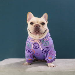 Dog Velvet Sweater – Spring & Autumn Schnauzer Clothing