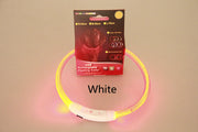 Flashing USB Rechargeable Dog Collar – Safety Light Up Collar
