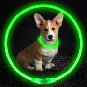 Flashing USB Rechargeable Dog Collar – Safety Light Up Collar
