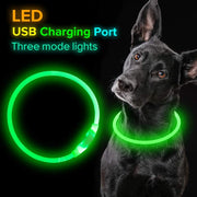 Flashing USB Rechargeable Dog Collar – Safety Light Up Collar