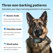 Smart Anti-Bark Dog Collar – Rechargeable, Waterproof, HD Display