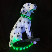 LED Dog Collar – 7-Color Luminous Paw Print