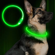Flashing USB Rechargeable Dog Collar – Safety Light Up Collar