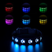 LED Dog Collar – 7-Color Luminous Paw Print